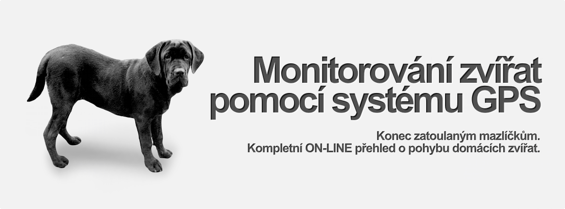 monitorovnání zvířat